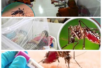ডেঙ্গু: একটি নীরব জেনোসাইড, আমাদের অবহেলার রক্তাক্ত দলিল