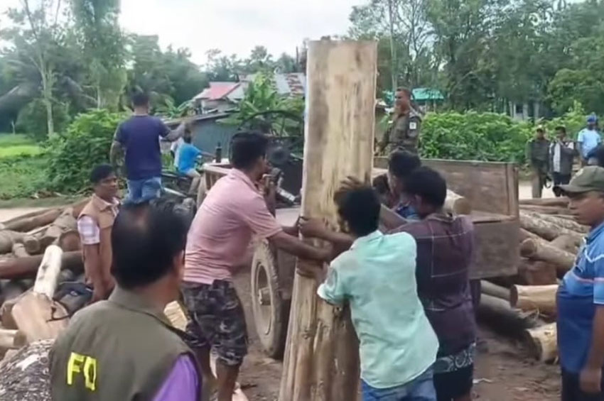 লাইসেন্স না থাকায় হবিগঞ্জে ৭ করাতকল সিলগালা