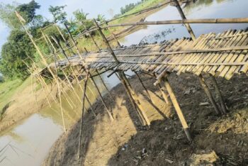 ঝুঁকিপূর্ণ বাঁশের সাঁকোই ভরসা, শিক্ষার্থী-রোগী-কৃষক-ব্যবসায়ীসহ দুর্ভোগে ৬–৭ গ্রামের মানুষ