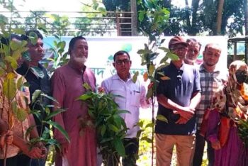 শ্রীমঙ্গলের ফলদ,ভেষজ ও বনজ বৃক্ষের চারা বিতরণ