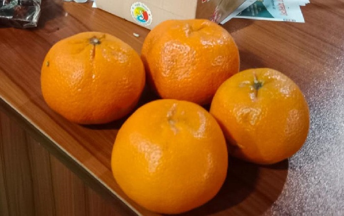 মৌলভীবাজারে চারটি কমলা ৫০ হাজার টাকা